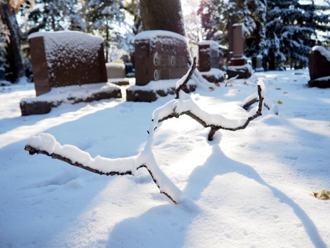 Bohemian National Cemetery, Chicago