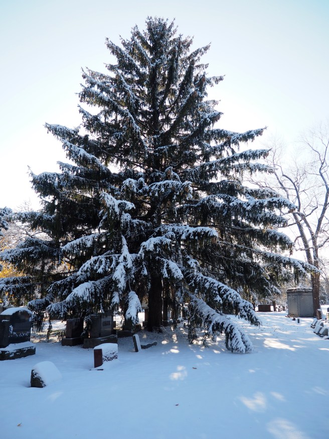 Tell me a scene like this doesn't immediately get you excited for the holidays. 