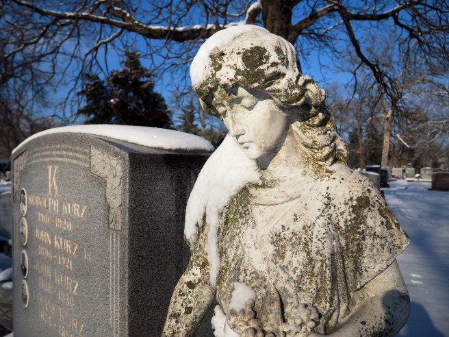 Bohemian National Cemetery, Chicago